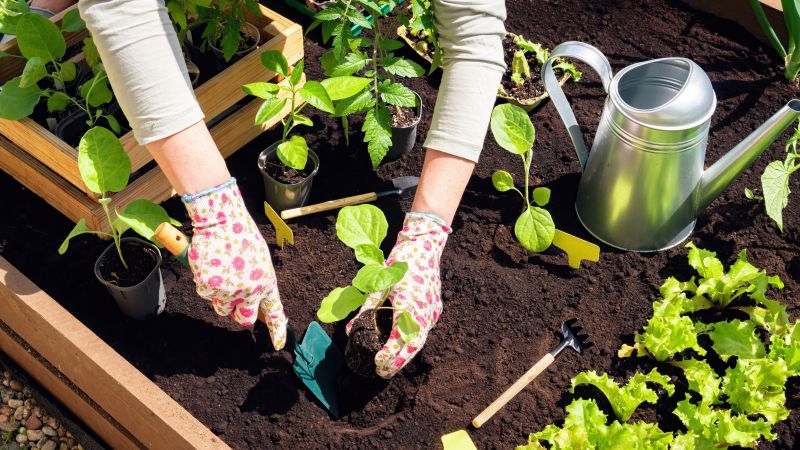 Garden Restoration