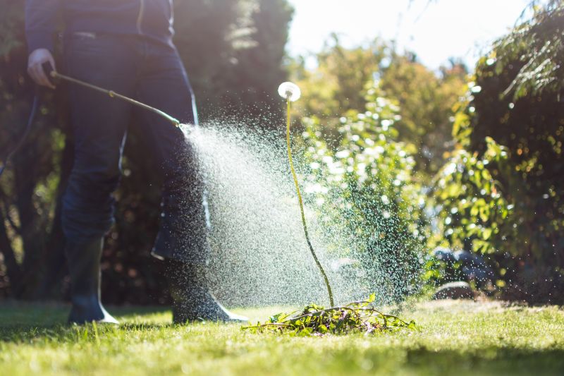 Garden Restoration